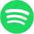 Spotify icon